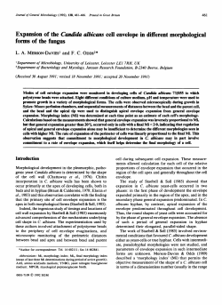 Expansion of the Candida albicans cell envelope in