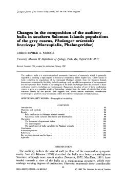 Changes in the composition of the auditory bulla in southern