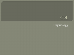 Physiology