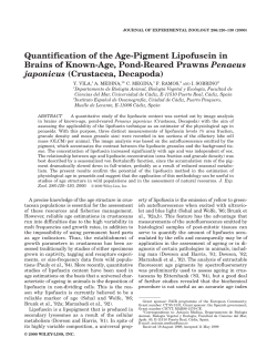 Quantification of the Age-Pigment Lipofuscin in Brains of Known