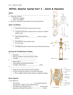 Skeletal System Pt 3 Fill in STUDENT KD15
