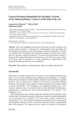 Lateral Meristems Responsible for Secondary Growth of the