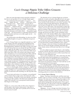 Cox`s Orange Pippin Tribe Offers Growers a Delicious