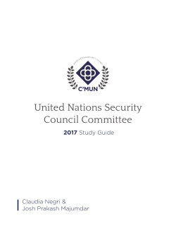 United Nations Security Council Committee