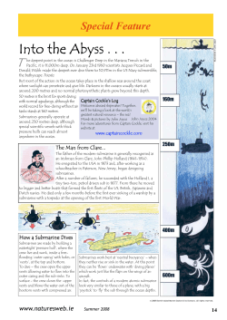 Page 14 - Nature`s Web