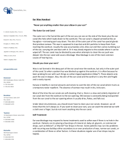 Ear Wax Handout - entspecialists