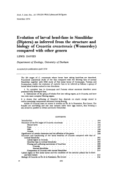 Evolution of larval head-fans in Simuliidae (Diptera) as inferred from