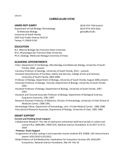 CURRICULUM VITAE - University of South Florida