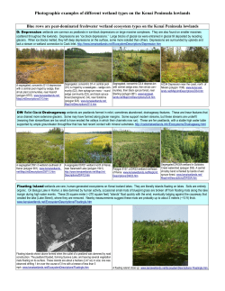 Photographic examples of different wetland types on the Kenai