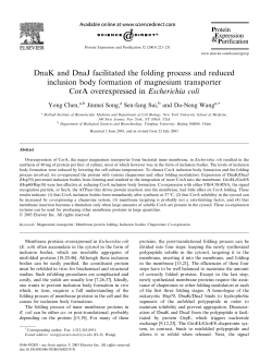 DnaK and DnaJ facilitated the folding process and reduced