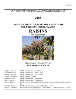 Grapes/Raisins