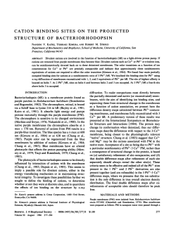 CATION BINDING SITES ON THE PROJECTED STRUCTURE OF