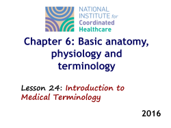 Medical Term. powerpoint slides missing from sat, 2/18