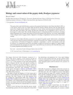 Biology and conservation of the pygmy sloth, Bradypus pygmaeus