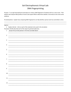 Gel Electrophoresis Virtual Lab: DNA Fingerprinting