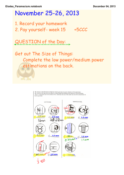 Diversity of Life Investigation #3 11/25-11/26