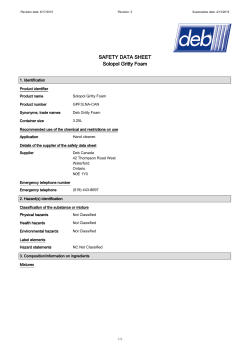 SAFETY DATA SHEET Solopol Gritty Foam