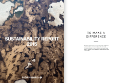 sustainability report 2015
