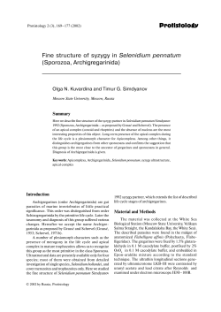 O_N_Kuvardina and T_G_Simdyanov_Fine structure of syzygy in