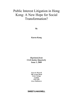 Public Interest Litigation in Hong Kong: A New
