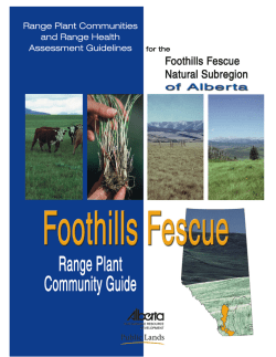 Foothills Fescue Natural Subregion