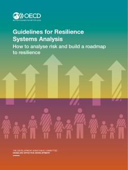 Guidelines for Resilience Systems Analysis