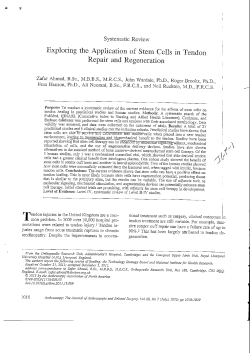 Exploring the Application of Stem Cells in Tendon Repair