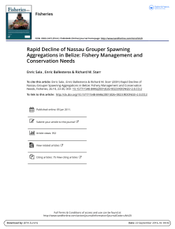 Rapid Decline of Nassau Grouper Spawning Aggregations in Belize