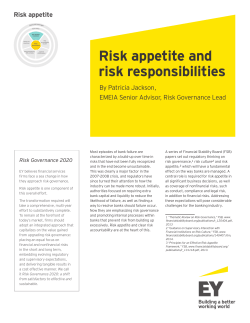 Risk appetite and risk responsibilities