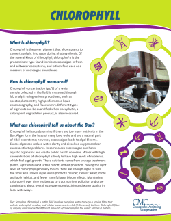 chlorophyll - Alliance for the Chesapeake Bay