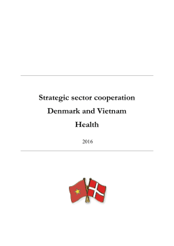 Strategic sector cooperation Denmark and Vietnam Health