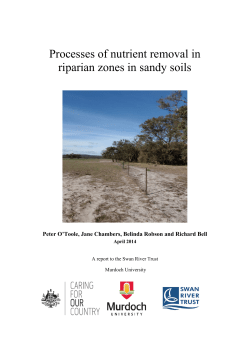 Processes of nutrient removal in riparian zones in sandy soils