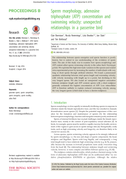 Sperm morphology, adenosine triphosphate (ATP) concentration