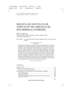 molecular and cellular aspects of the arbuscular mycorrhizal symbiosis