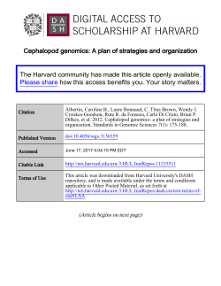 Cephalopod genomics: A plan of strategies and organization