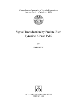 Signal Transduction by Proline-Rich Tyrosine Kinase Pyk2