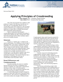 Applying Principles of Crossbreeding
