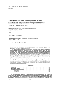 The structure and development of the haustorium
