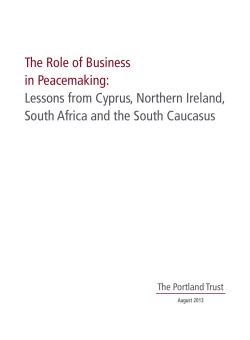 The Role of Business in Peacemaking: Lessons