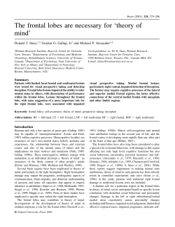 The frontal lobes are necessary for `theory of mind`