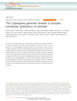 The Capsaspora genome reveals a complex unicellular