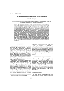 The Interactions of Sea Urchin Gametes During Fertilization The