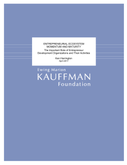 Entrepreneurial Ecosystem Momentum and Maturity, The Important
