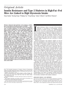 Insulin Resistance and Type 2 Diabetes in High