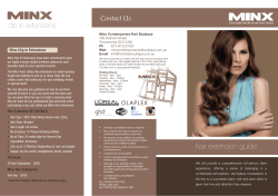 our Hair Extension Flyer