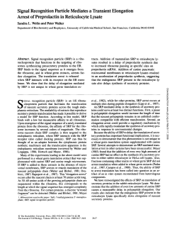 Signal Recognition Particle Mediates a Transient
