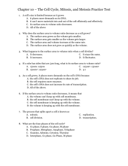 Chapter 10 &ndash; The Cell Cycle, Mitosis, and Meiosis Practice Test