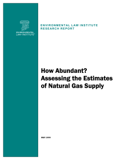 Assessing the Estimates of Natural Gas Supply