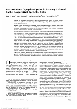 Proton-driven dipeptide uptake in primary cultured rabbit