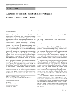 A database for automatic classification of forest species